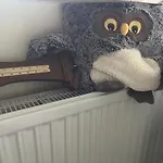 Apartman Unter Den Wolken
