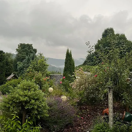 Unter Den Wolken Winterberg