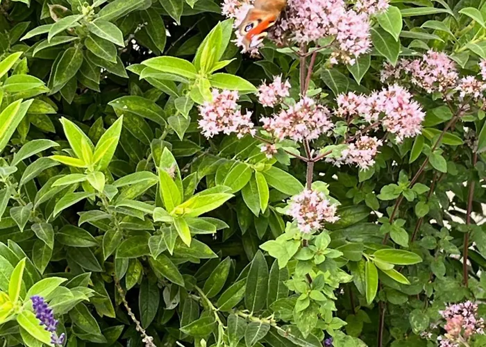 Appartamento Unter Den Wolken *